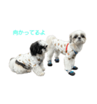 おこげと笑吉 5（個別スタンプ：4）