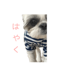 おこげと笑吉 5（個別スタンプ：5）