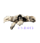 おこげと笑吉 5（個別スタンプ：6）