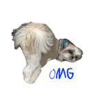 おこげと笑吉 5（個別スタンプ：7）