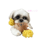 おこげと笑吉 5（個別スタンプ：8）