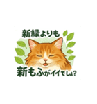 めるんど5月用（個別スタンプ：6）