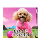 トイプのゴルファー【関西弁】（個別スタンプ：4）
