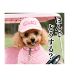 トイプのゴルファー【関西弁】（個別スタンプ：5）