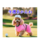 トイプのゴルファー【関西弁】（個別スタンプ：17）