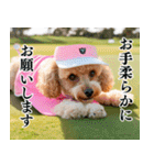 トイプのゴルファー【関西弁】（個別スタンプ：21）