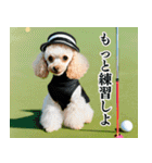 トイプのゴルファー【関西弁】（個別スタンプ：27）
