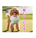 トイプのゴルファー【関西弁】（個別スタンプ：28）