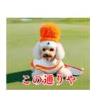 トイプのゴルファー【関西弁】（個別スタンプ：31）