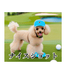 トイプのゴルファー【関西弁】（個別スタンプ：36）