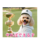 トイプのゴルファー【関西弁】（個別スタンプ：38）