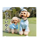 トイプのゴルファー【関西弁】（個別スタンプ：40）