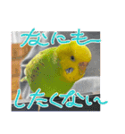 ソラミとヤマトの可愛いスタンプ（個別スタンプ：2）