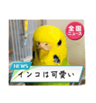 ソラミとヤマトの可愛いスタンプ（個別スタンプ：7）