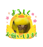 ソラミとヤマトの可愛いスタンプ（個別スタンプ：8）