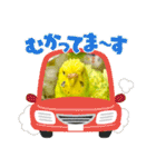 ソラミとヤマトの可愛いスタンプ（個別スタンプ：17）