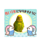 ソラミとヤマトの可愛いスタンプ（個別スタンプ：19）