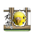 ソラミとヤマトの可愛いスタンプ（個別スタンプ：25）