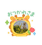 ポメラニアン♡うーちゃんスタンプ（個別スタンプ：6）
