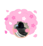 僕に名前はキンクリハジロ。知ってた？（個別スタンプ：8）