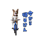 大分弁のワンコさん 犬 いぬ（個別スタンプ：1）