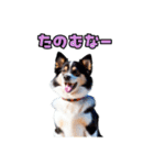 大分弁のワンコさん 犬 いぬ（個別スタンプ：9）