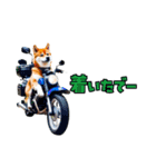大分弁のワンコさん 犬 いぬ（個別スタンプ：11）