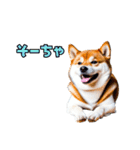 大分弁のワンコさん 犬 いぬ（個別スタンプ：12）