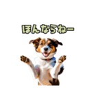 大分弁のワンコさん 犬 いぬ（個別スタンプ：16）