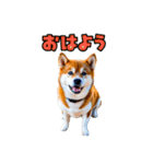 大分弁のワンコさん 犬 いぬ（個別スタンプ：17）