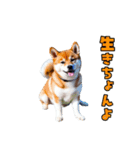 大分弁のワンコさん 犬 いぬ（個別スタンプ：20）