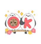わが家のニャンTube☆コタロー＆むぎちゃん3（個別スタンプ：1）
