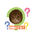 わが家のニャンTube☆コタロー＆むぎちゃん3（個別スタンプ：2）