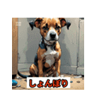 ゆるかわ犬スタンプ（個別スタンプ：3）