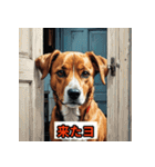 ゆるかわ犬スタンプ（個別スタンプ：22）