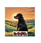 ゆるかわ犬スタンプ（個別スタンプ：25）