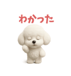 トイプのもふもふスタンプ（個別スタンプ：20）