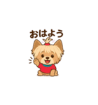 Cute Yorkshire Terrier  Sticker（個別スタンプ：3）
