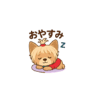 Cute Yorkshire Terrier  Sticker（個別スタンプ：4）