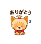 Cute Yorkshire Terrier  Sticker（個別スタンプ：5）