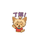 Cute Yorkshire Terrier  Sticker（個別スタンプ：8）