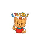 Cute Yorkshire Terrier  Sticker（個別スタンプ：9）