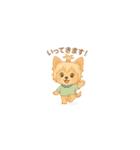 Cute Yorkshire Terrier  Sticker（個別スタンプ：12）