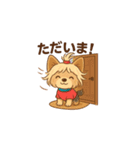 Cute Yorkshire Terrier  Sticker（個別スタンプ：13）
