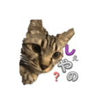 さくりくコンビ（個別スタンプ：2）