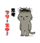 フリーズねこ（個別スタンプ：16）