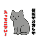 フリーズねこ（個別スタンプ：19）