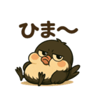 「まるっこ黒い小鳥の日常スタンプ」（個別スタンプ：7）