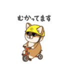 コギ太の1日（個別スタンプ：1）