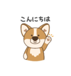 コギ太の1日（個別スタンプ：3）
